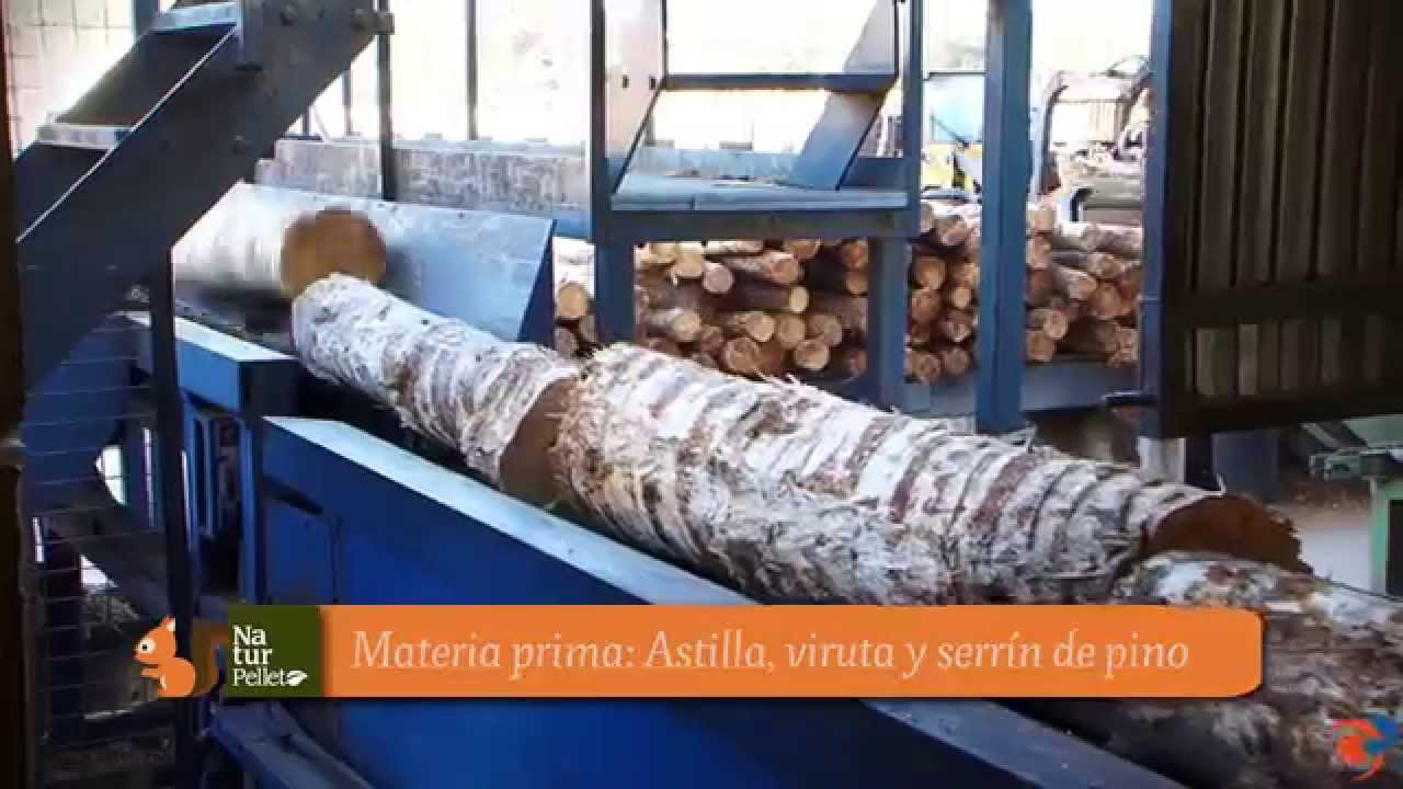 Biomasa: Proceso de fabricación del pellet a partir de la madera de pino