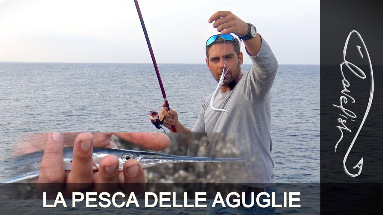 Come pescare facilmente le aguglie