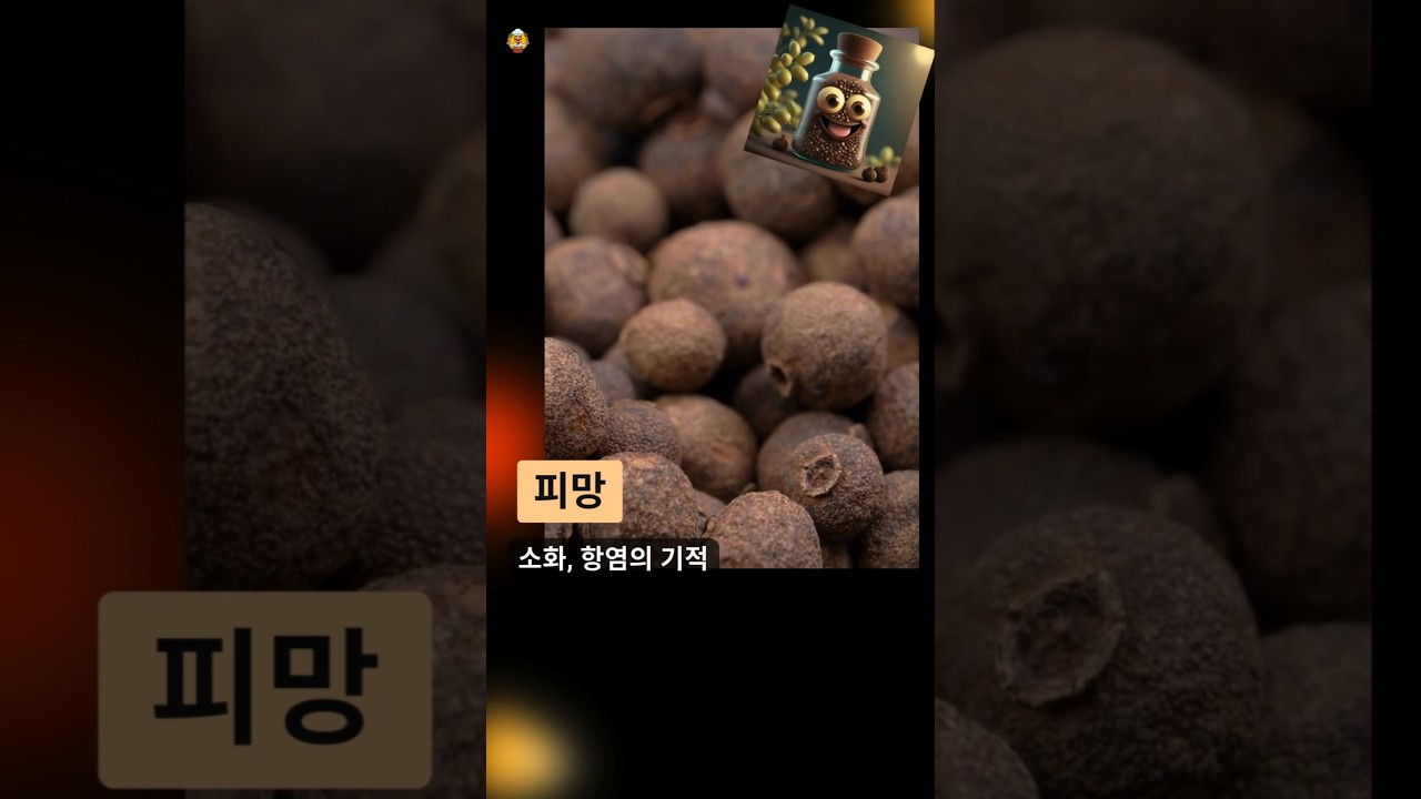 올스파이스 건강상의 이점 | 올스파이스의 건강상의 이점 | 올스파이스의 이점