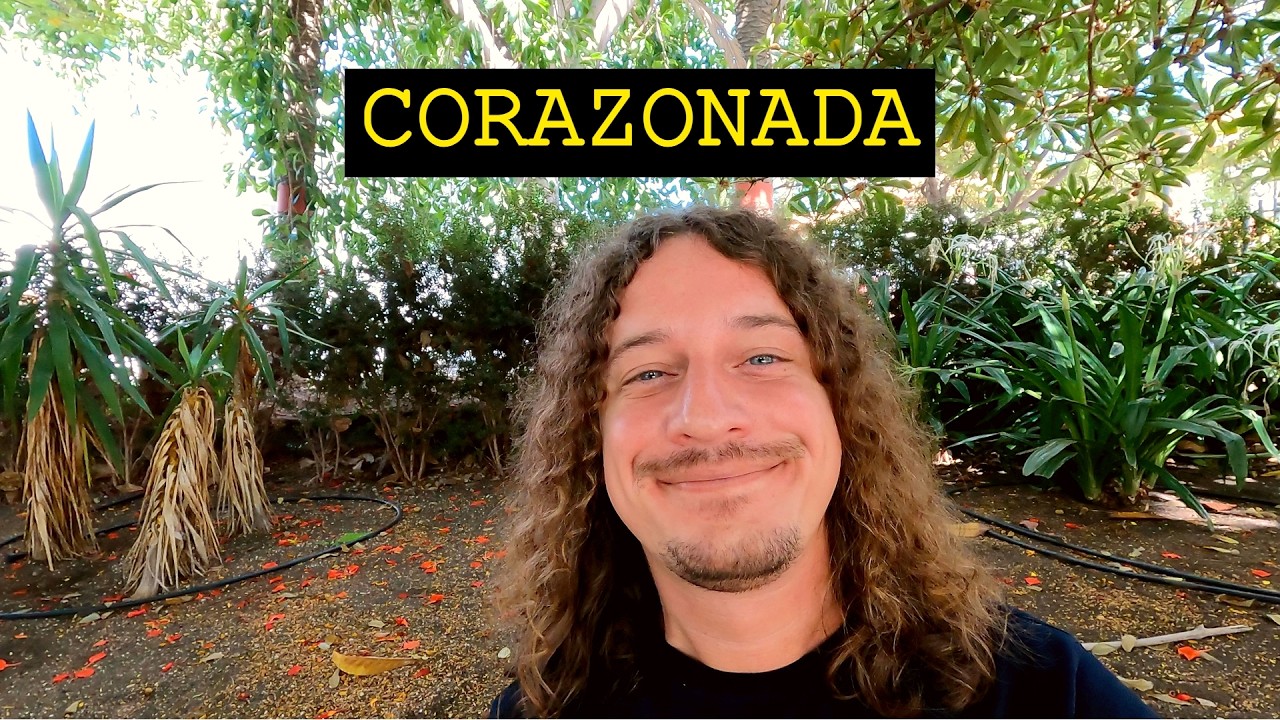 Co znaczy CORAZONADA w potocznym języku hiszpańskim? | Hiszpański w Plenerze 216