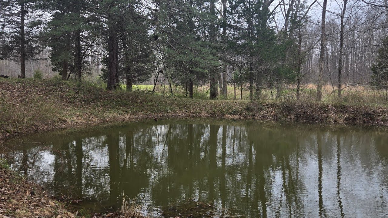 Fishing at my pond. Midwest Gold Fever is live!