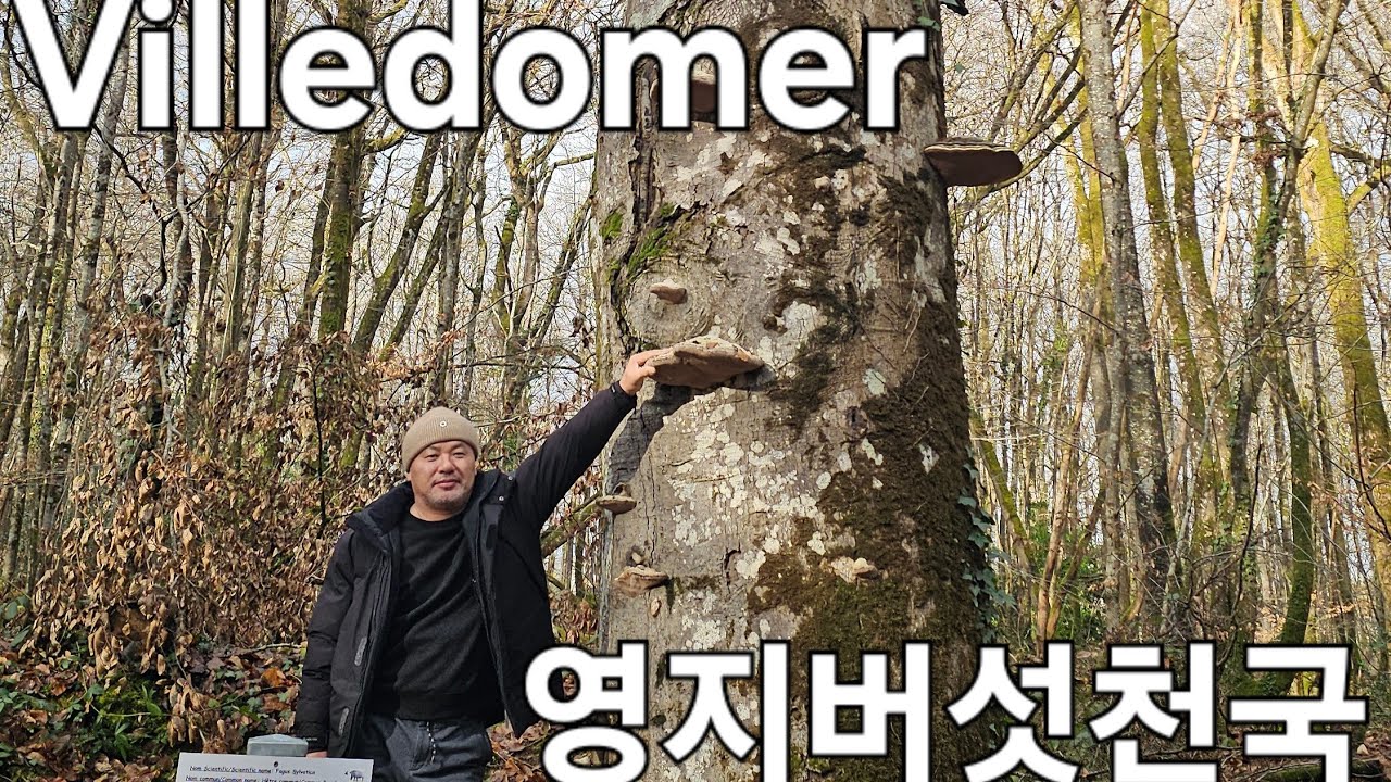 20260113 D282 🇫🇷 프랑스37 Villedomer  영지버섯천국