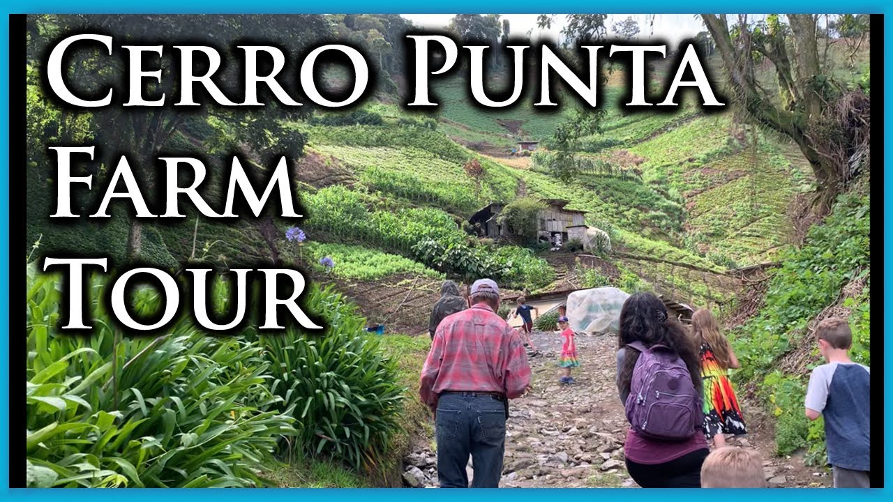 Farm Tour - Volcan Friday Market, Tierras Altas, Panama Chiriqui Cerro Punta Finca Vafloreva