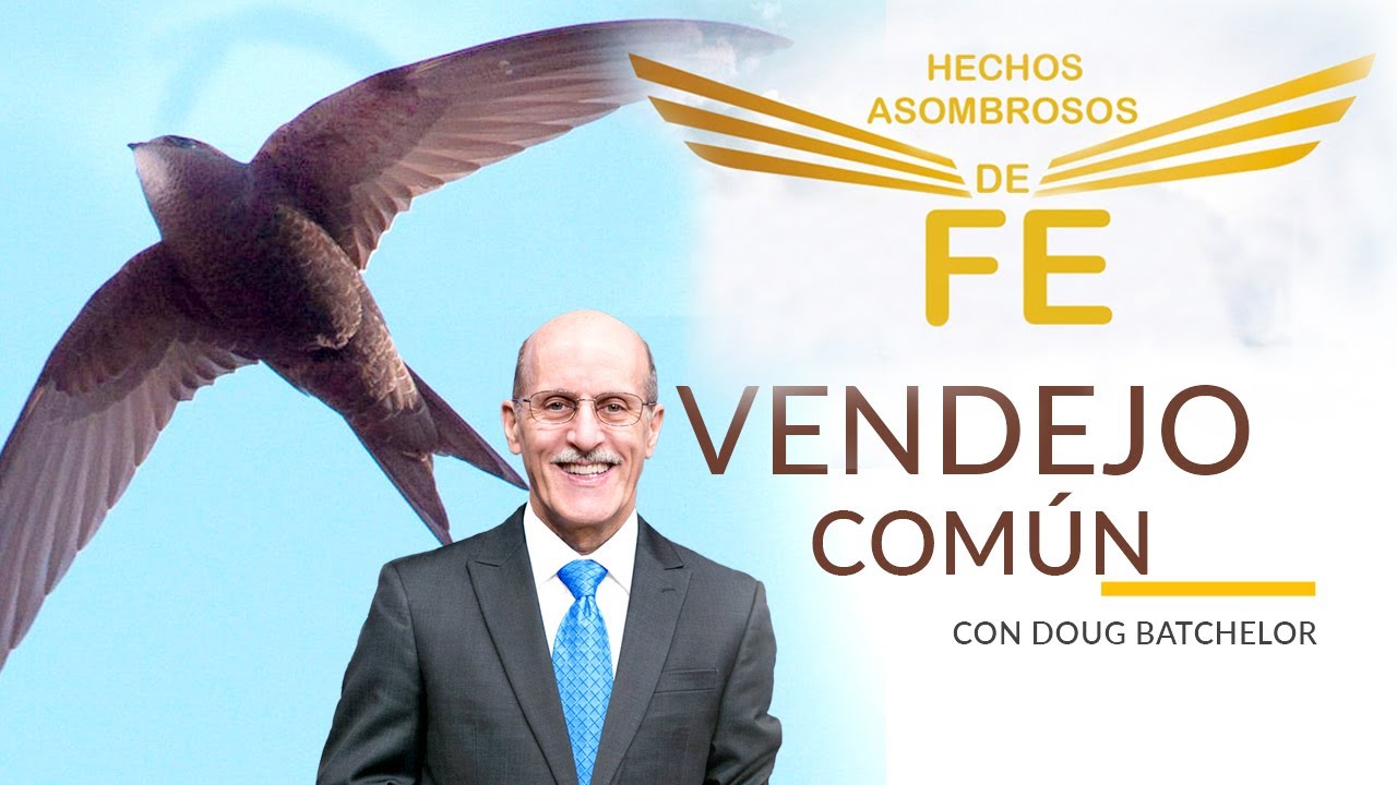 Hechos Asombrosos de Fe - Vendejo Común - Doug Batchelor