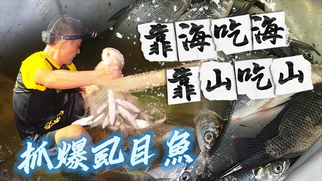趕海系列｜老當益壯動作行雲流水撒大網，酥炸虱目魚整尾直接入口。