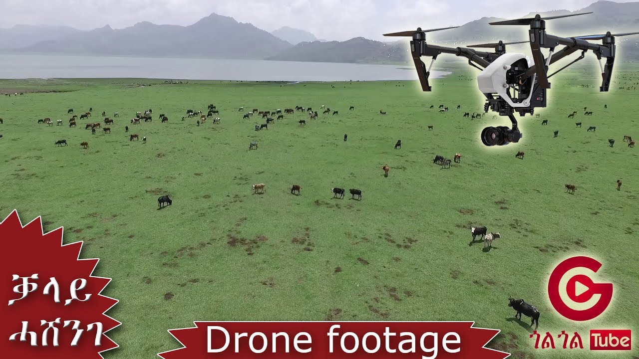 ኸባቢ ቓላይ ሓሸንገ ኮረም Kalay Hashenge drone footage