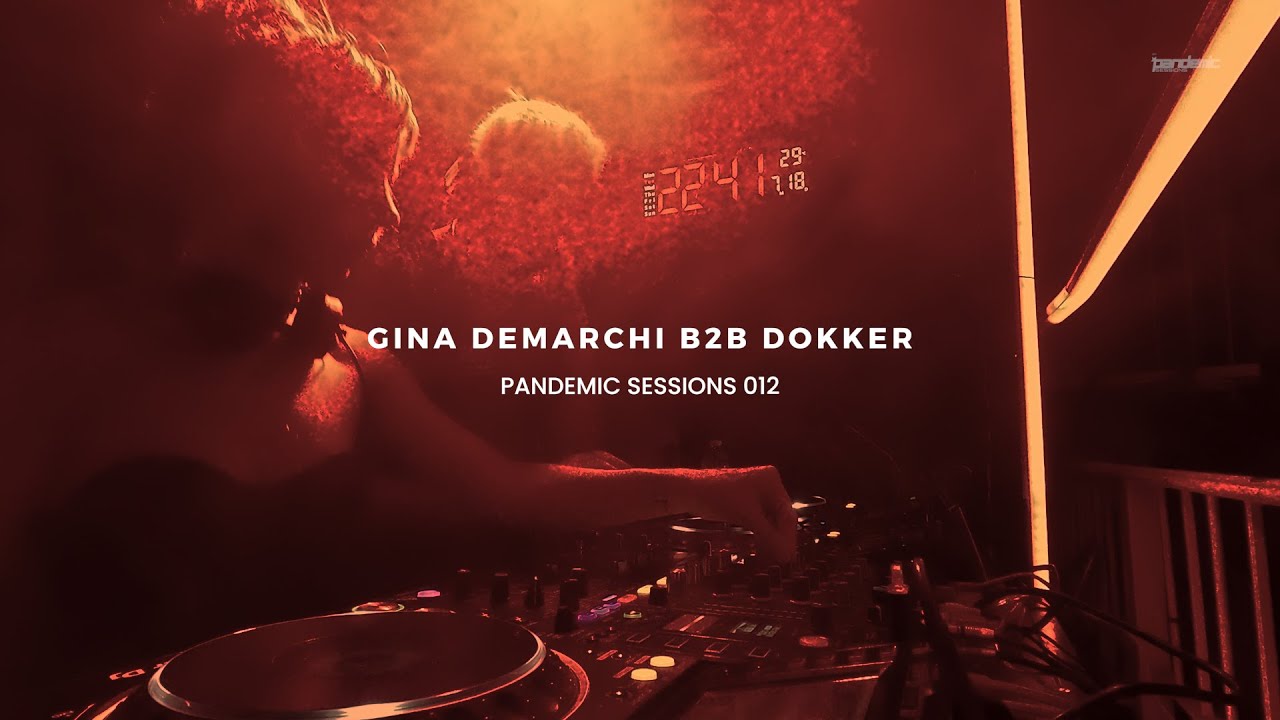 GINA DEMARCHI B2B DOKKER | PANDEMIC SESSIONS: #012