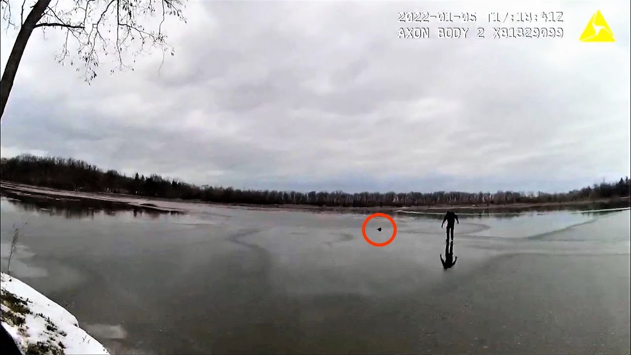 Puppy dog saved by hero cop after FALLING THRU ICE on lake in NY