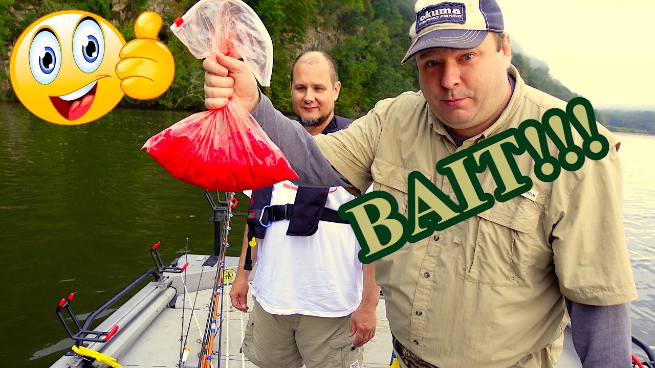 Strawberry Kool Aid Chicken Breast Catfish Bait