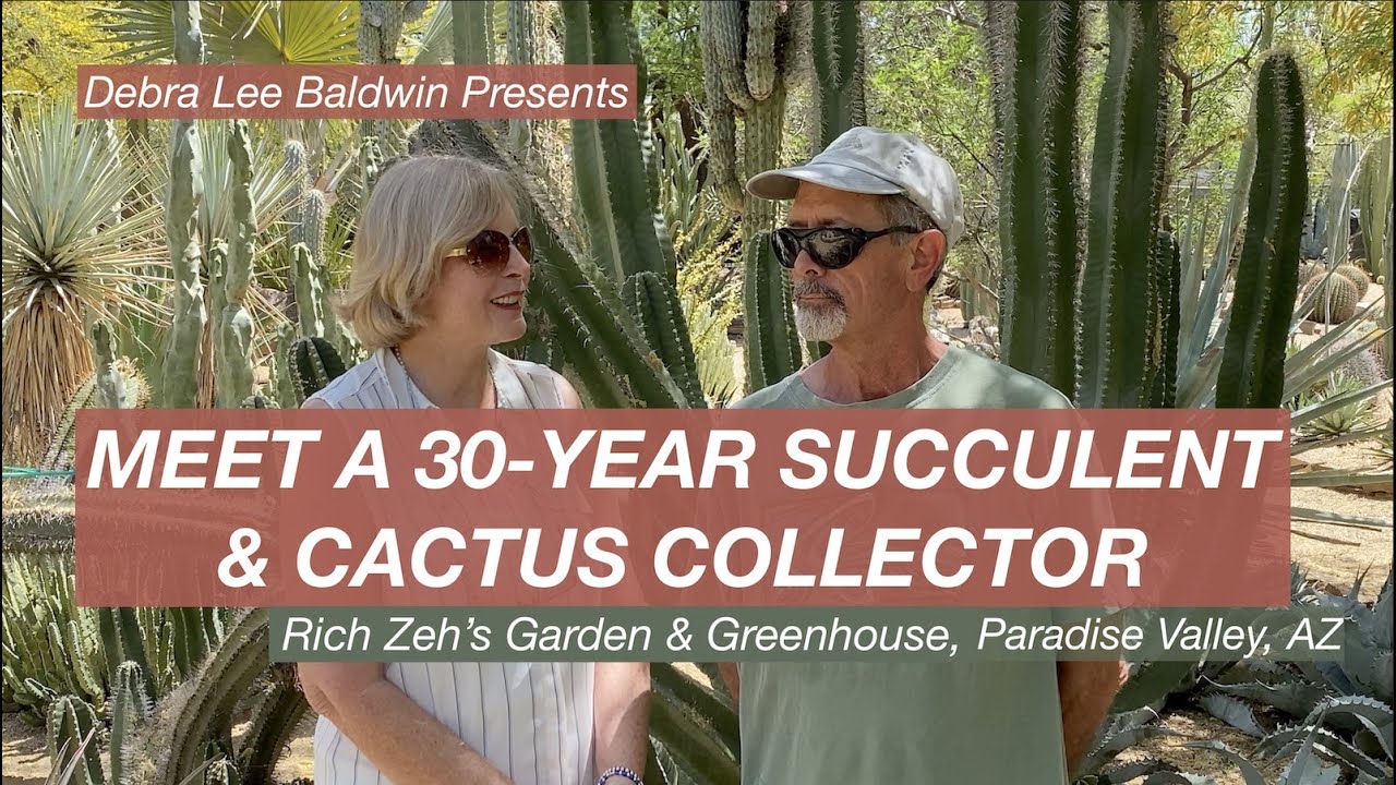 Meet a 30-year Succulent & Cactus Collector & See His Stunning Rarities