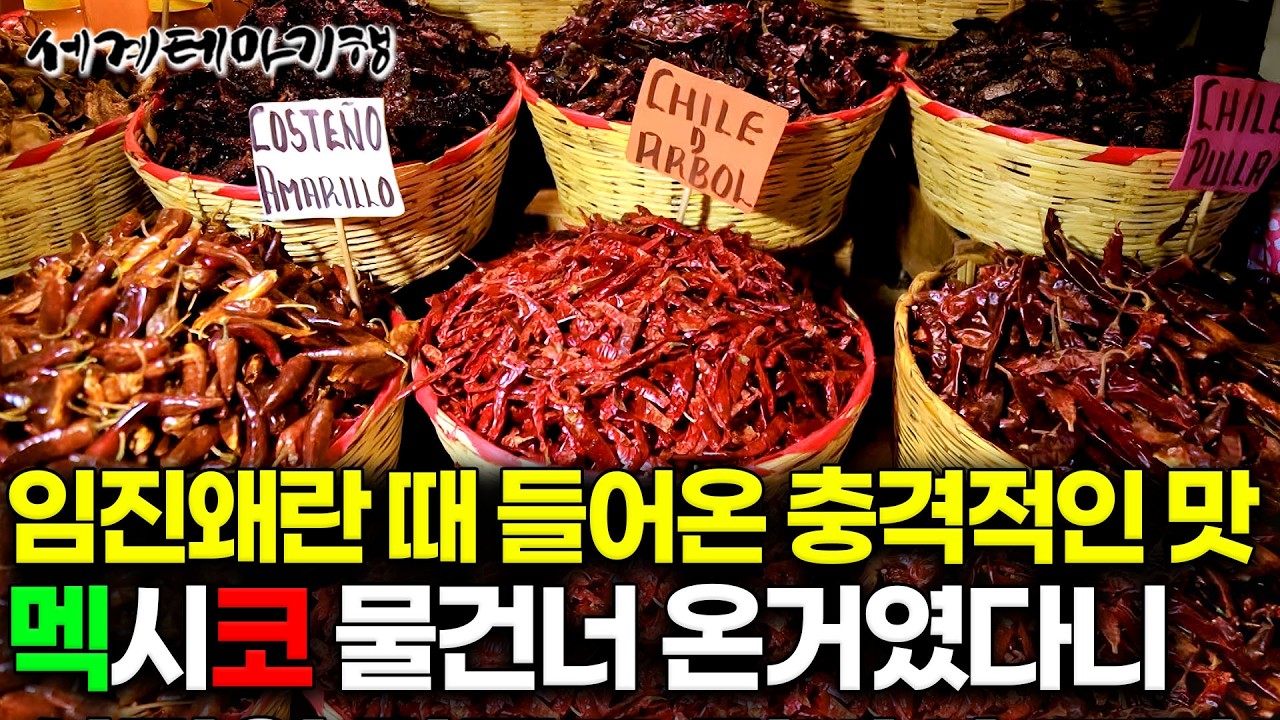 한국인이 죽고 못 사는 매운맛이 여기서 온 거였다니. 청양고추 200배 매운 시장표 고추부터 악마의 소스 요리까지｜멕시코 오아하카｜세계테마기행｜#골라듄다큐