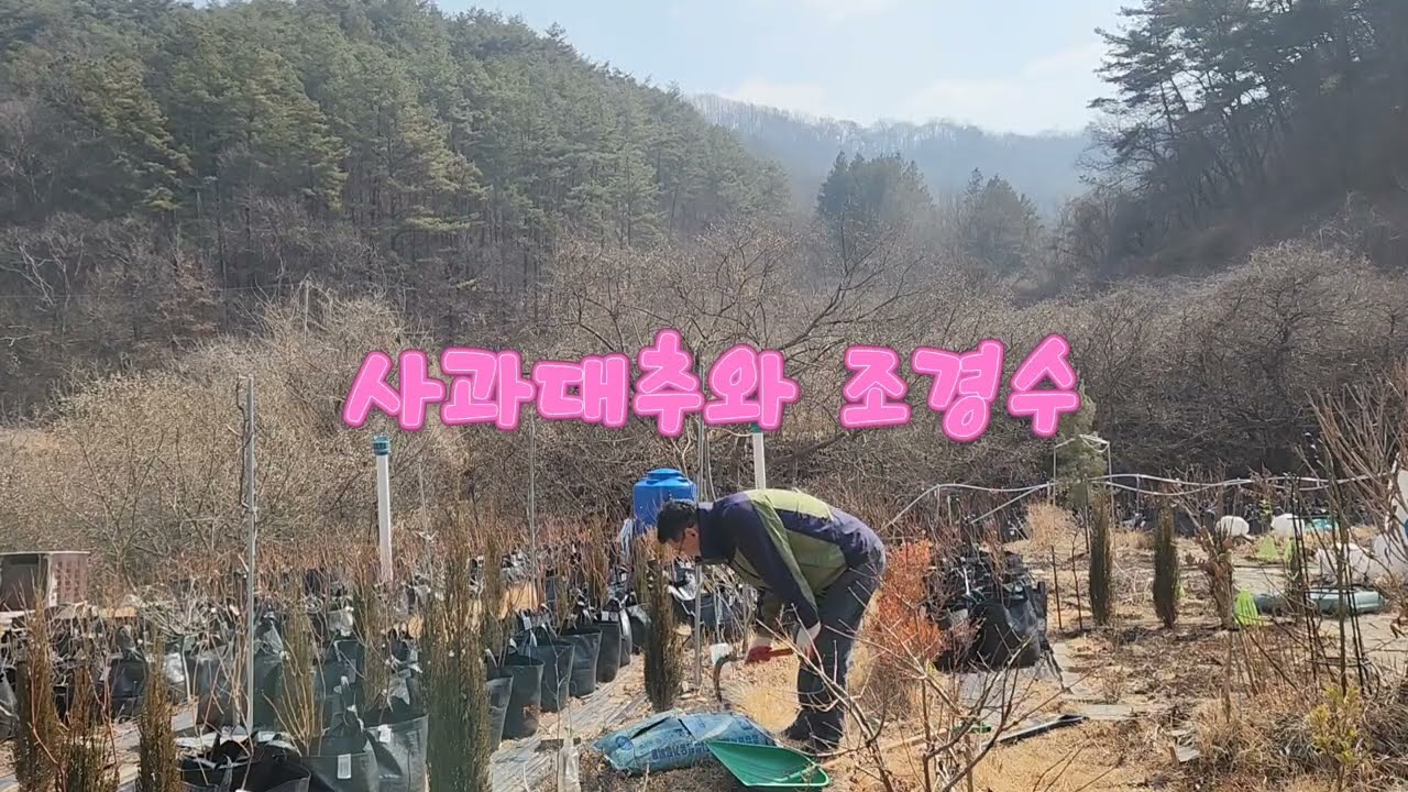 겨울 퇴비 뿌리며 든 생각 #시골감성 # 퇴비 살포 #5도2촌 