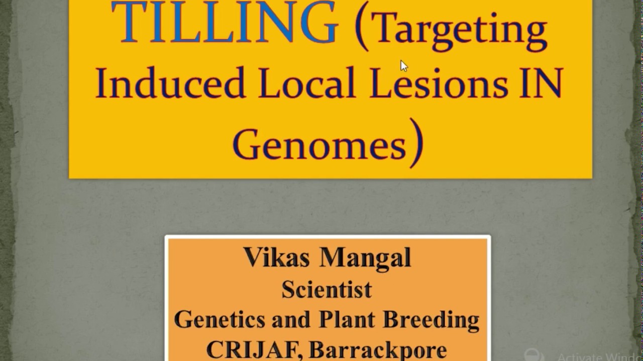 TILLING (Targeting Induced Local Lesions IN Genomes) | Vikas Mangal (Scientist, ICAR - CRIJAF)