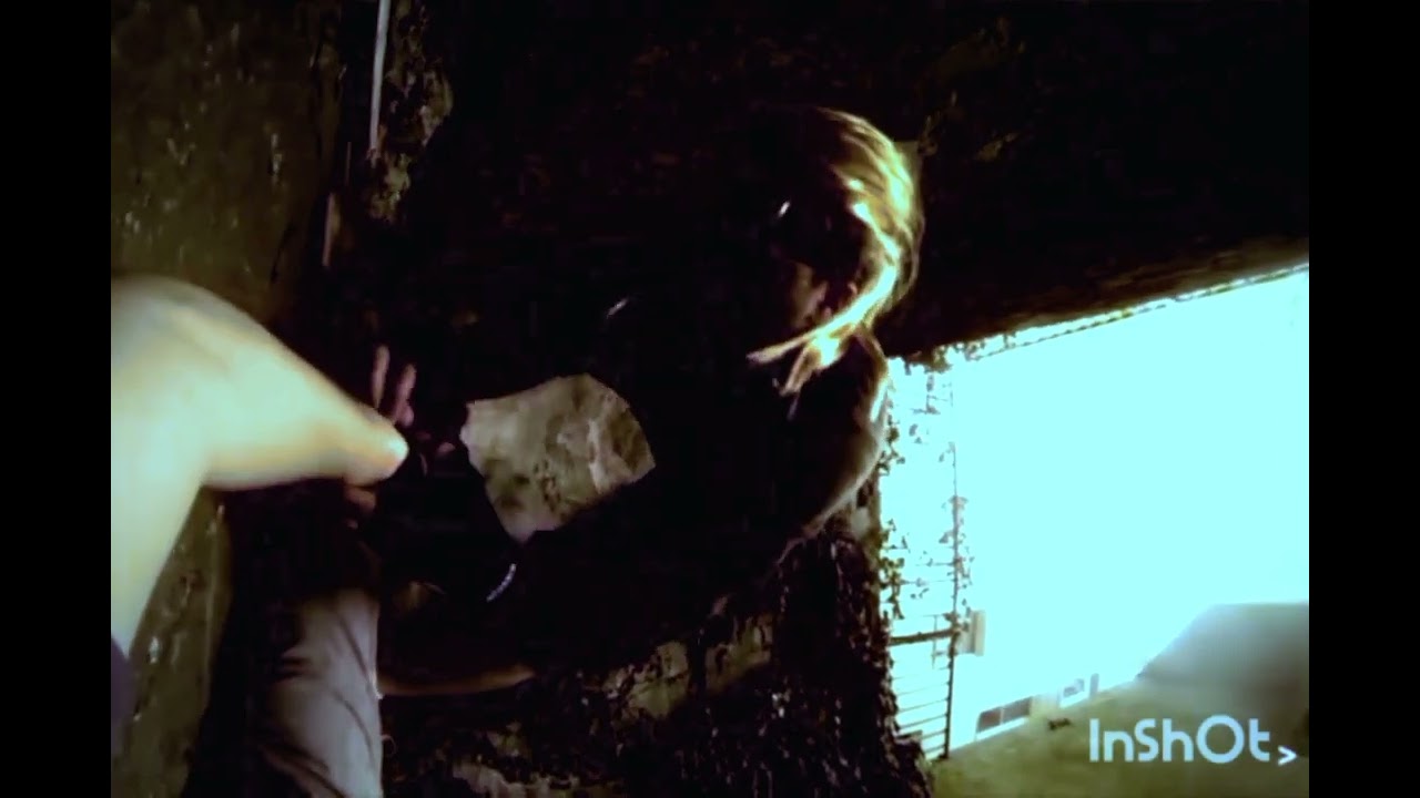 Fmv Game Updated Video 1080p_60FPS