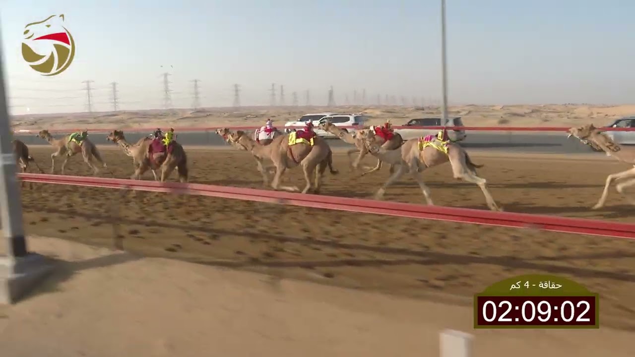 سباق الحقاقة – سيف العرب 30-01-2026 ش10 رصاد لـ مبارك محمد فالح سيف الشامسي  6:00