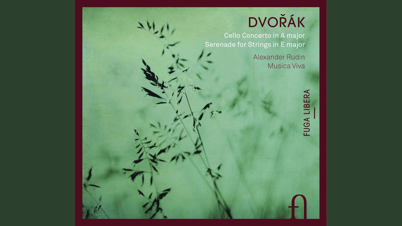 Serenade for Strings in E Major, Op. 22, B. 52: II. Tempo di valse