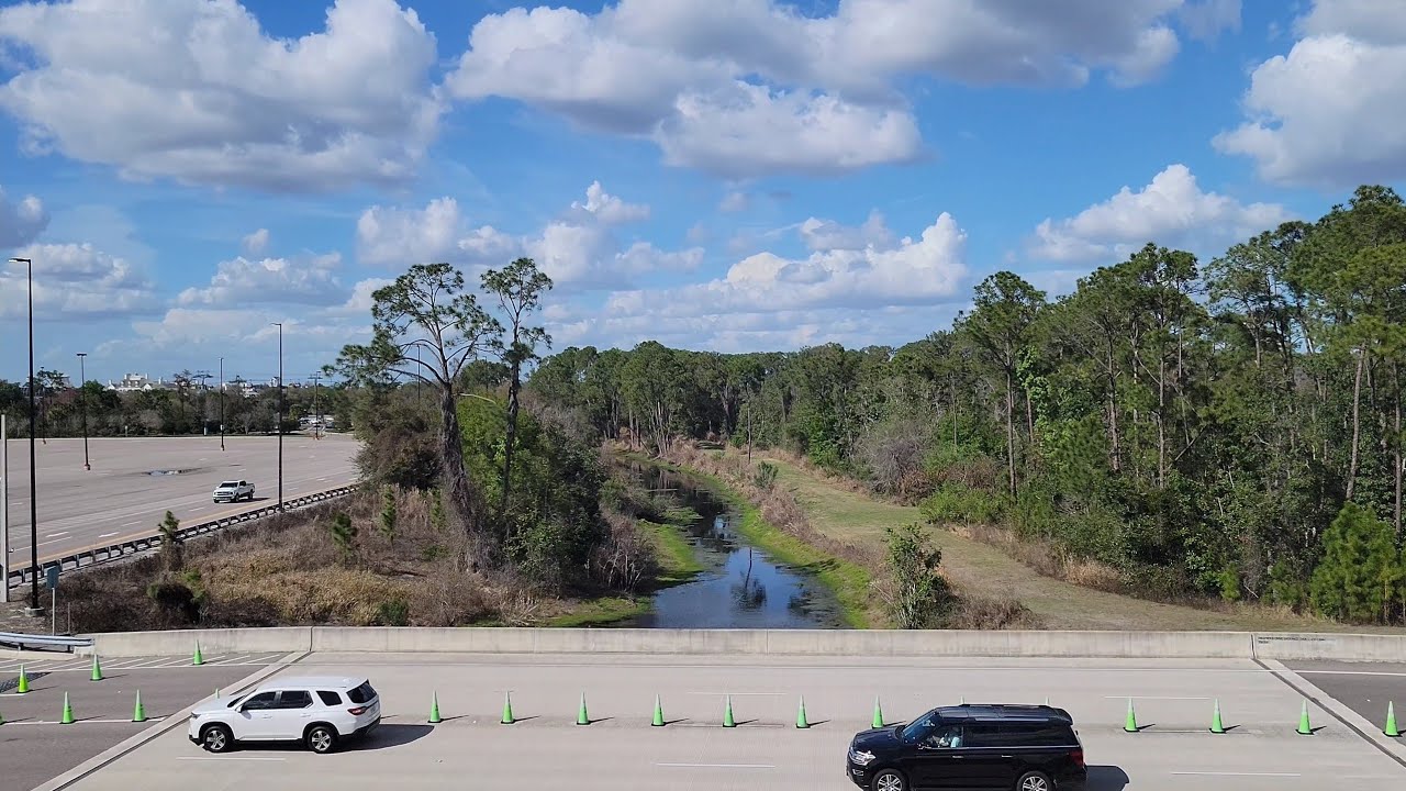 📍 You Are Here - Quick Skyliner Ride from Caribbean Beach to Hollywood Studios - March 2026