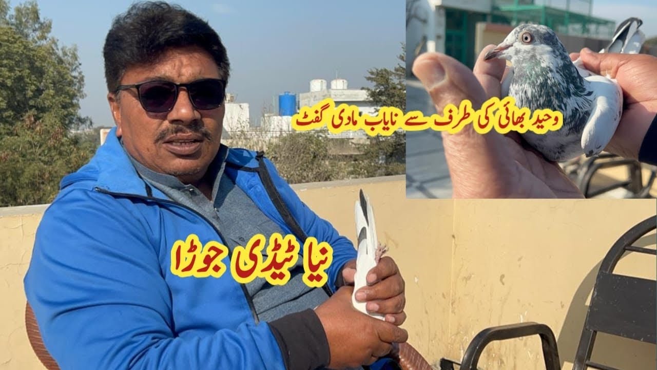 New Teddy Pair Set Kar Dia | Ustad Mian Mustajab Moshi