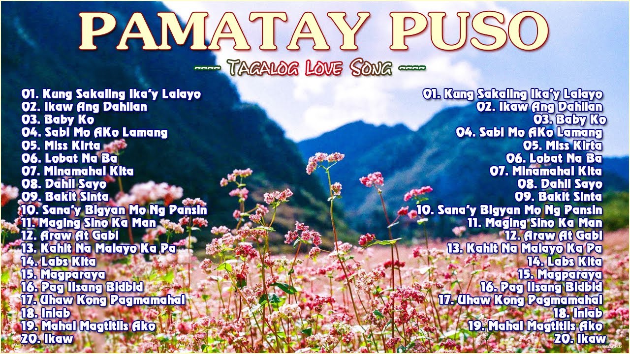 New Tagalog Love Song Remix Pamatay Puso - Nyt Lumenda & PML Members