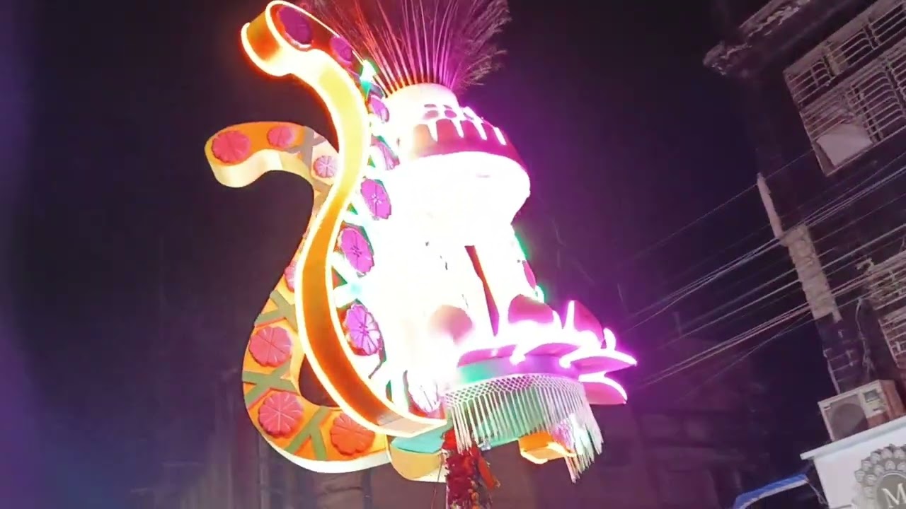 #vadodara chhadi mahotsav 2025