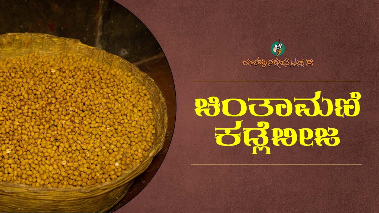 Chintamani Fame Groundnuts | Chintamani Kadalebeeja | 2023