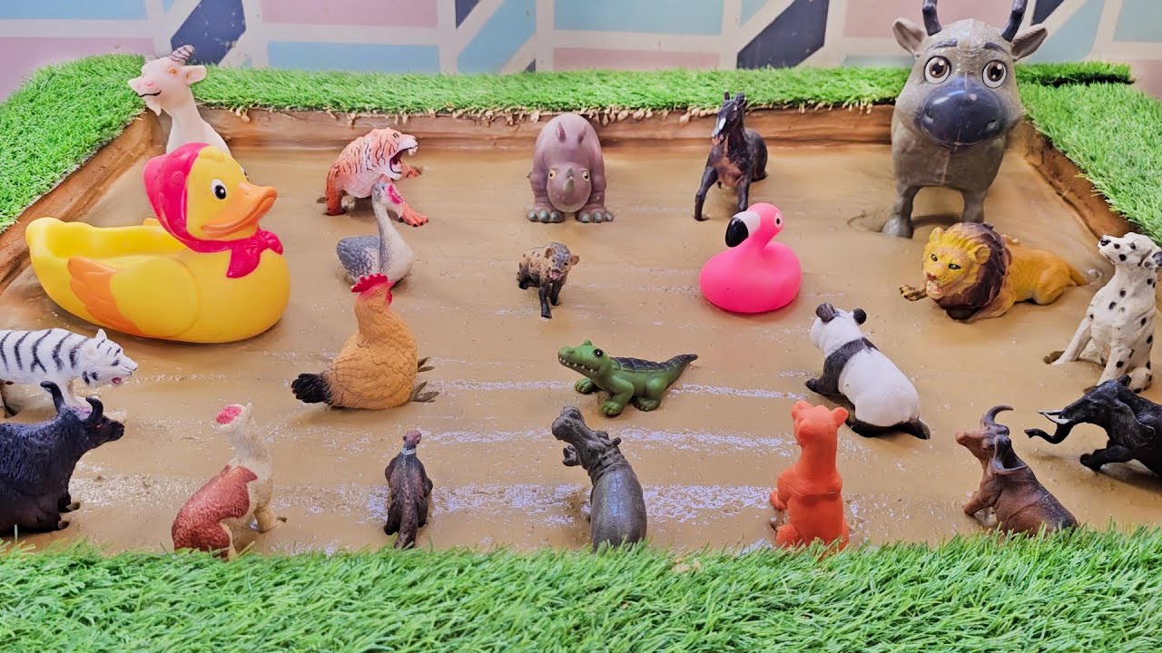 Tropical Adventure of Domestic Safari Animals and River Animals Quest for Kids!