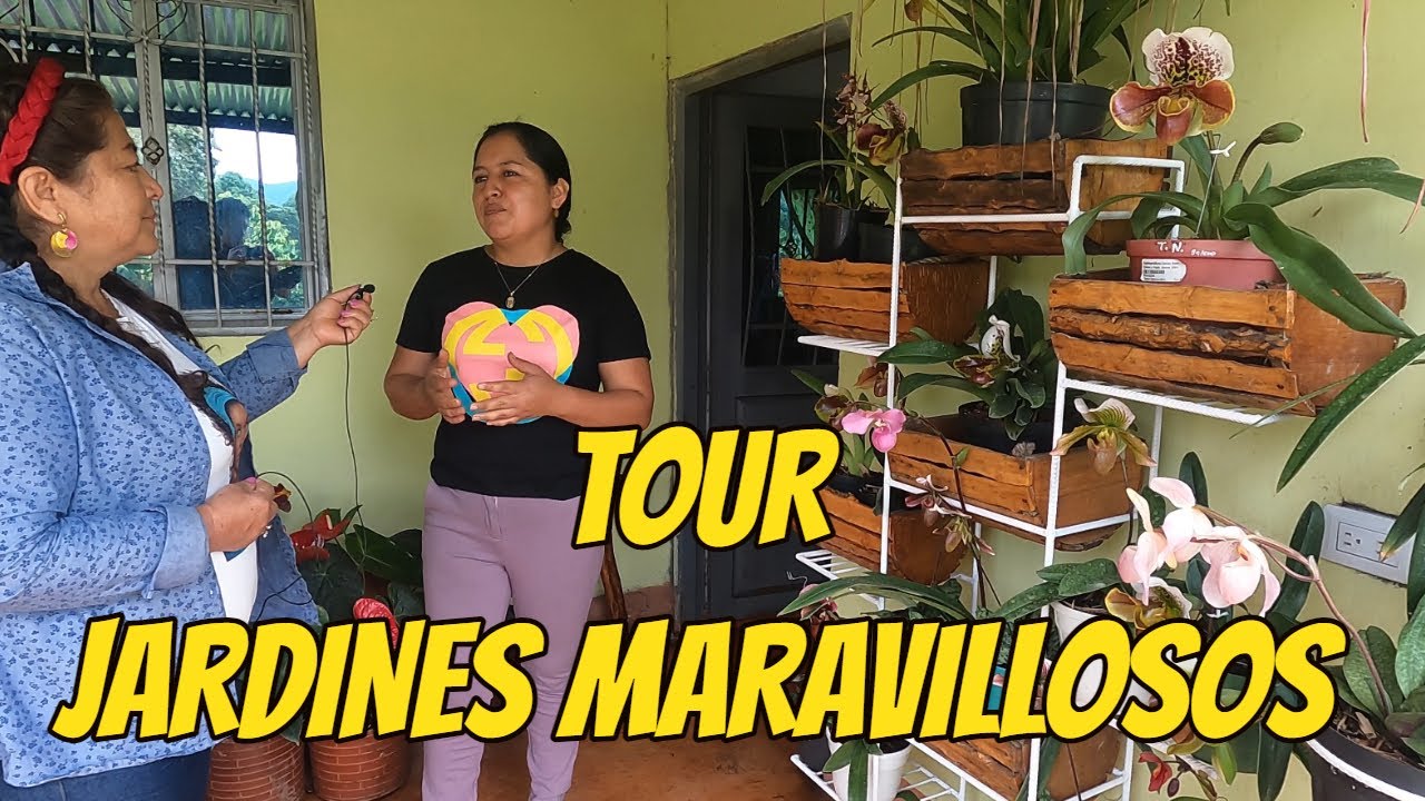 Increíble Colección de ZAPATICOS y ANTURIOS | VENTA DE ANTURIOS | Jardines del Huila-Colombia.