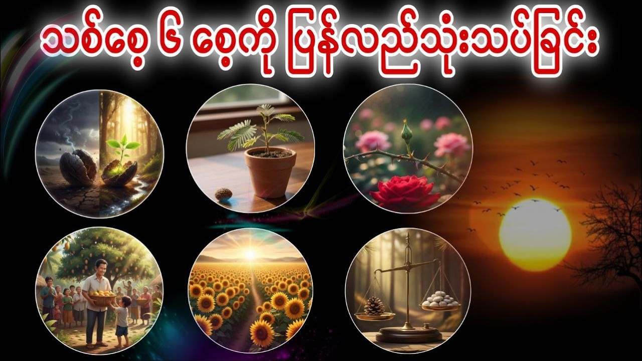 သစ်စေ့ ၆ စေ့ကို ပြန်လည်သုံးသပ်ခြင်း- အပိုင်း - ၈