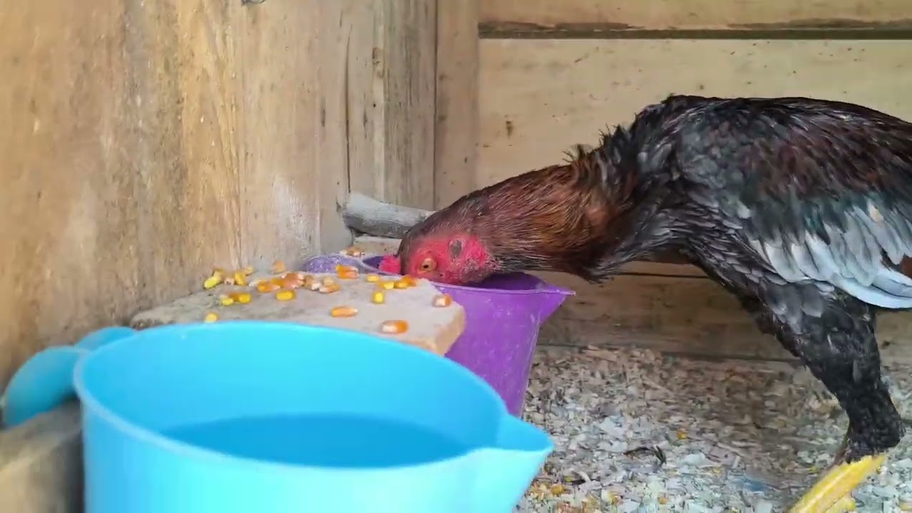 Üçlü Karışım Yine İşe Yaradı