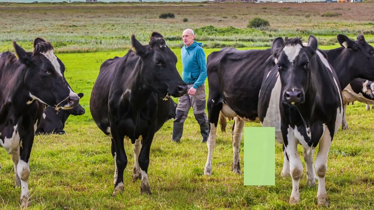 The Roche Family X Barryroe Co-op