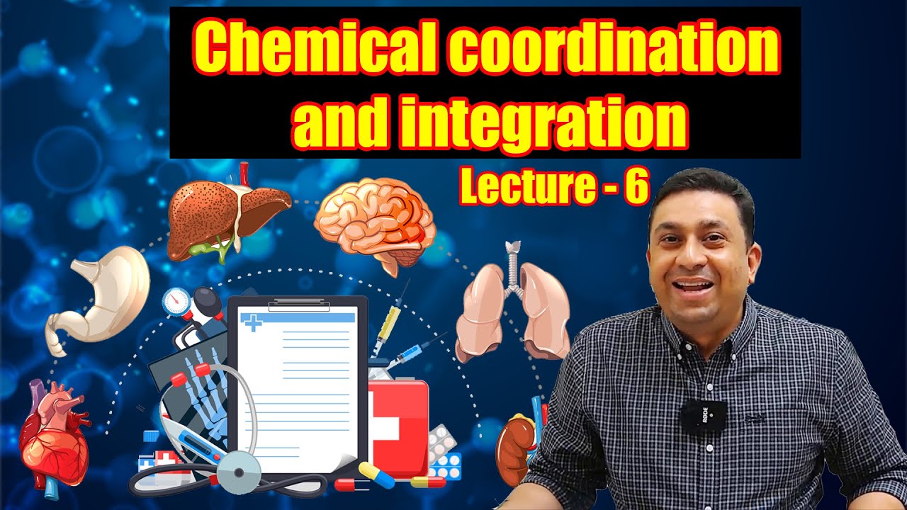 Chemical coordination and integration l Lecture 6 l Biology l NEET