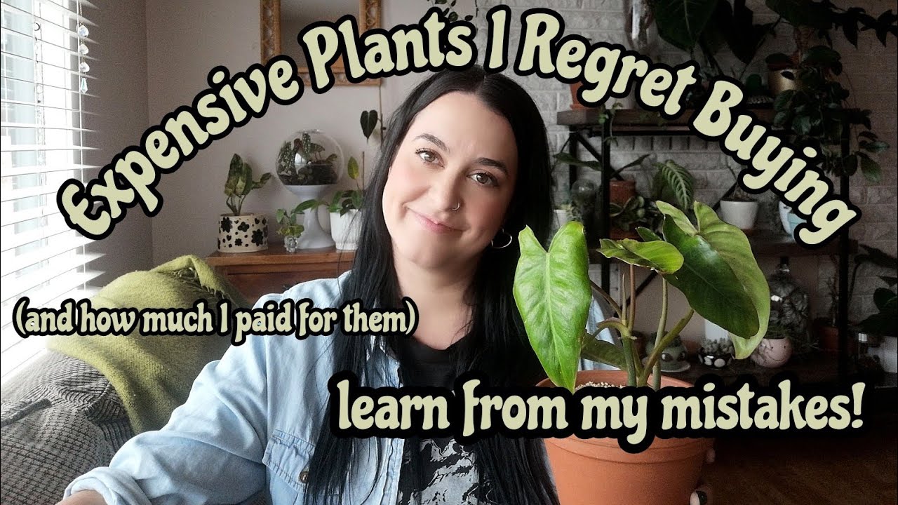 Expensive Plants I Regret Buying 💸