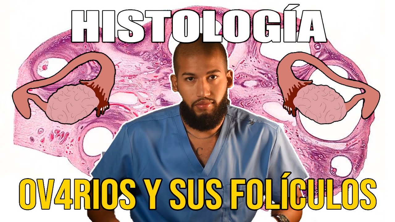 HISTOLOGÍA - APARATO R3PRODCUTOR F3MENINO Pt. I (Ov4rios y Folículos)