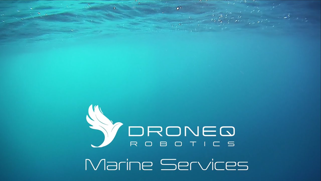 DroneQ Robotics Marine Services