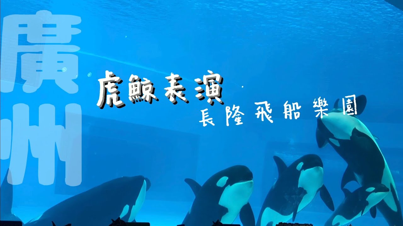 【廣州5天4夜遊】第五天-廣州珠海長隆飛船樂園 | 虎鯨音樂會 | 虎鯨大巡遊 | 人魚表演 | 快樂飛回家