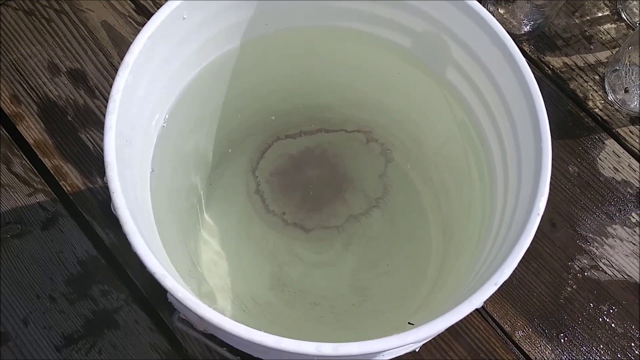 Jellyfish Tank
