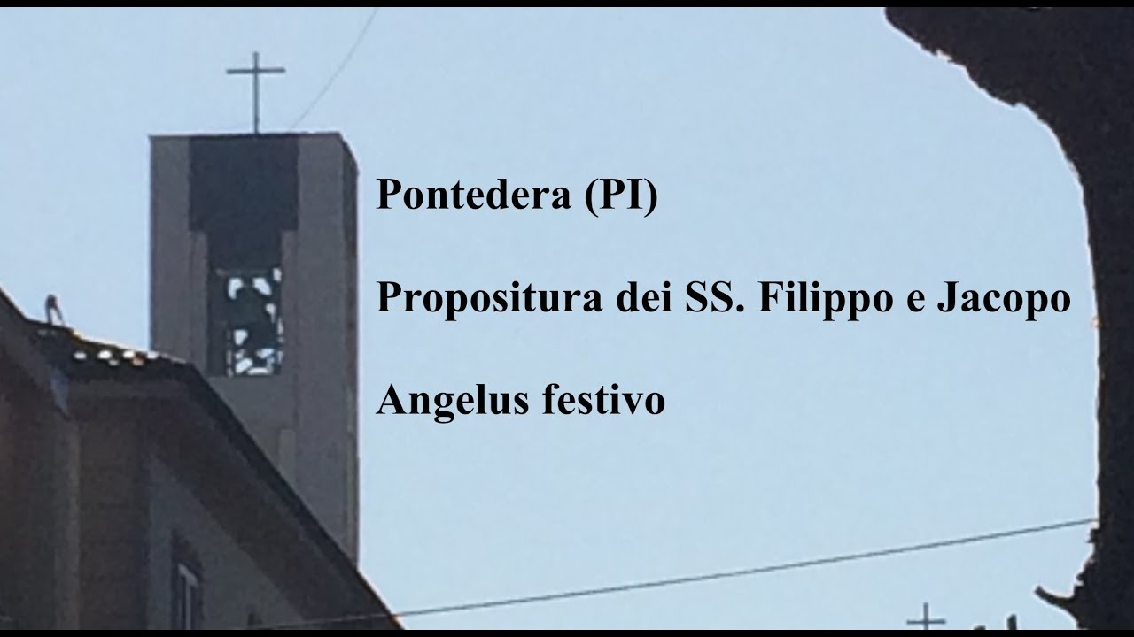 Campane della Propositura dei Santi Filippo e Jacopo in Pontedera (02) (PI), v.235