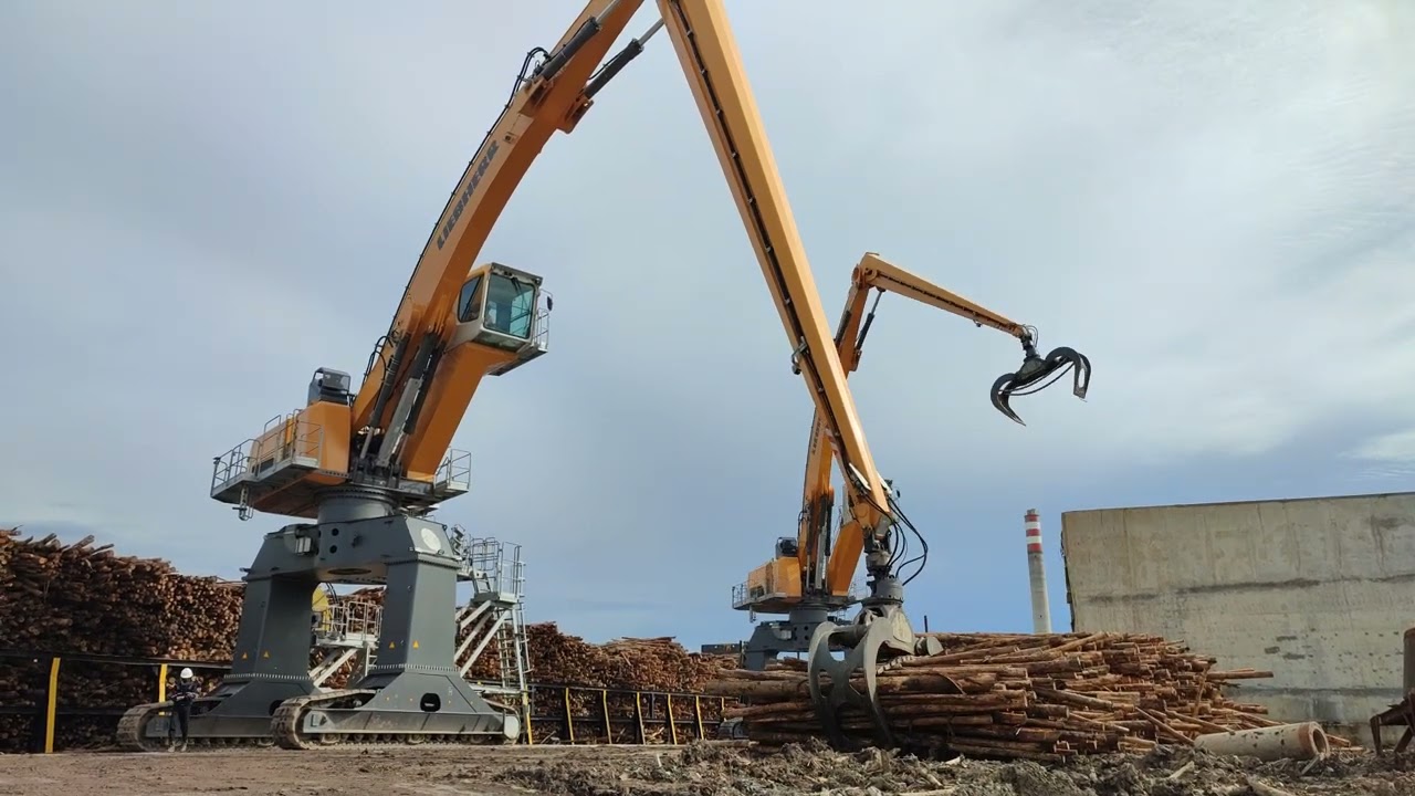 Liebherr LH150 in Action Double Loading Logging