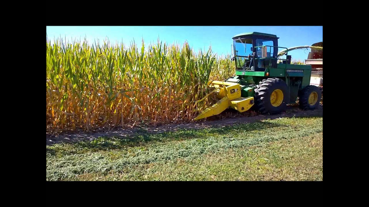 Chopping silage 2014 / 5730 John Deere harvester