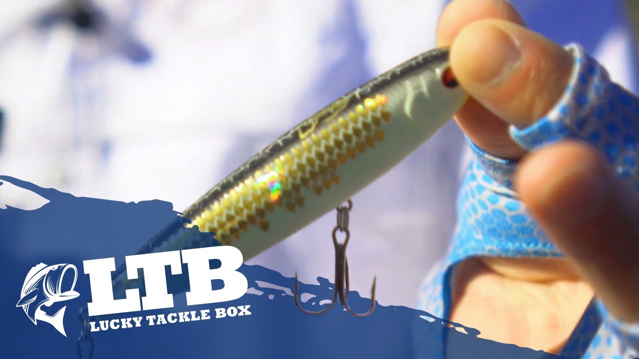 Topwater Fishing Tip #4: How To Fish Walking Baits
