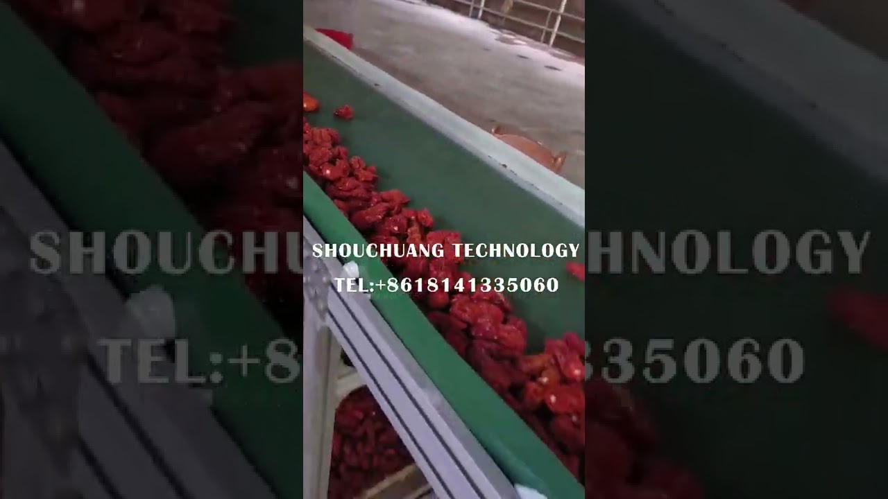 Industrial Chili Processing Drying Production Line S17 Teja Red Chillies Powder Grinding Machine