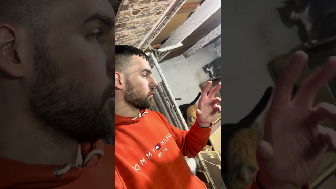 Группа ХА, подготовка к Virbac