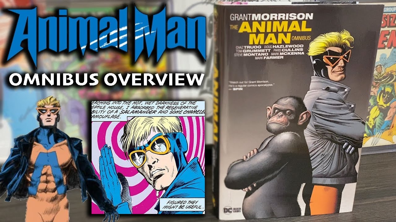 &laquo;Animal Man&raquo; Гранта Моррисона &mdash; обзор сборника комиксов DC (ПЕРВЫЙ В ИСТОРИИ)!