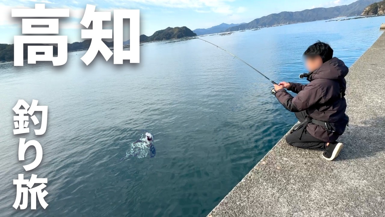 【高知 釣り旅】堤防にはイワシの大群！それを泳がせると美味しい魚が釣れました。