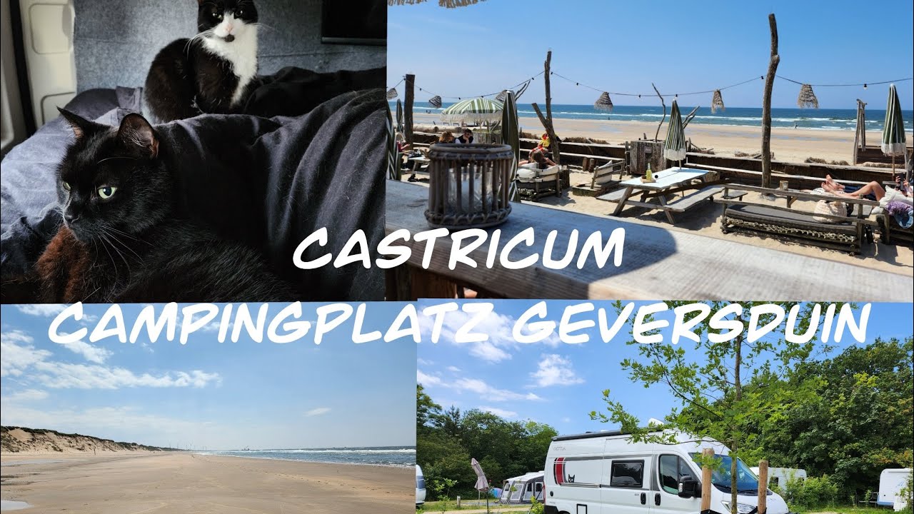 Campingplatz Geversduin in Castricum, Camping mit 2 Katzen, Juni 2024