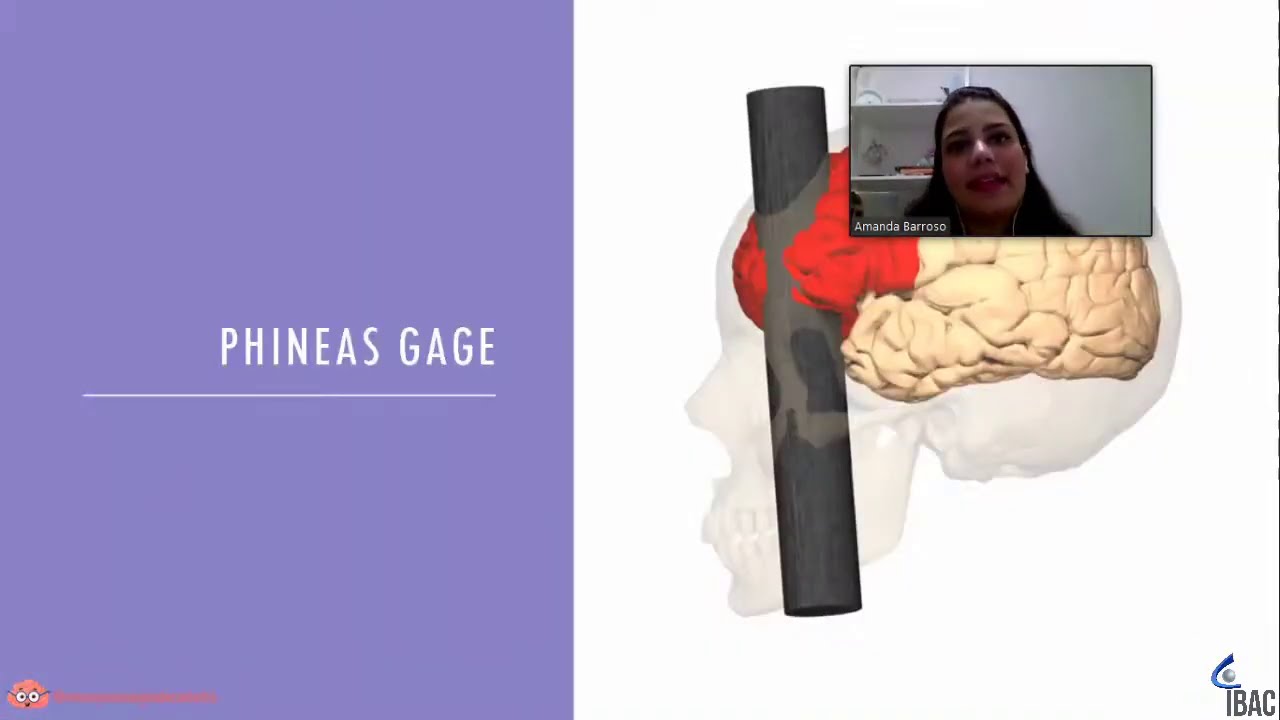 Formulação de Caso em Neuropsicologia: Porque Fazer?