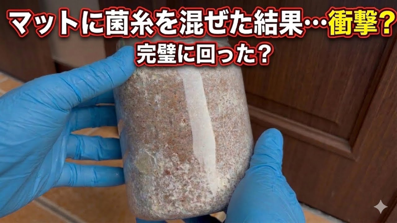 マットと菌糸を混ぜただけ。に幼虫を投入。