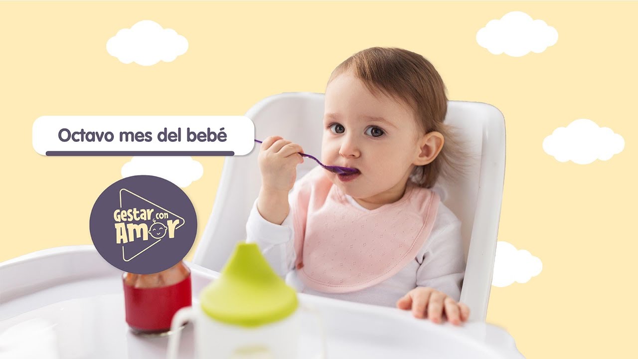 Tu beb&eacute; de 8 meses. Alimentaci&oacute;n y consejos de nutrici&oacute;n