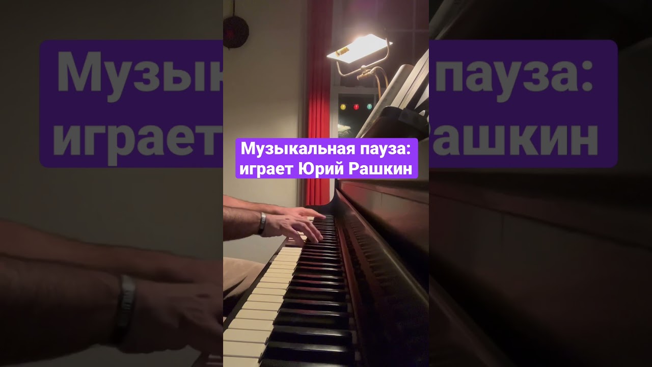 Музыкальная пауза: играет Юрий Рашкин