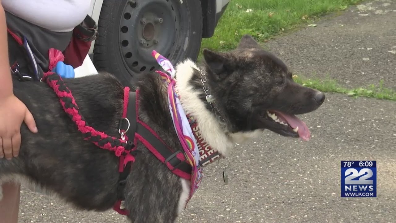 Knights of Columbus Brimfield hosts first Military Dog 5-K